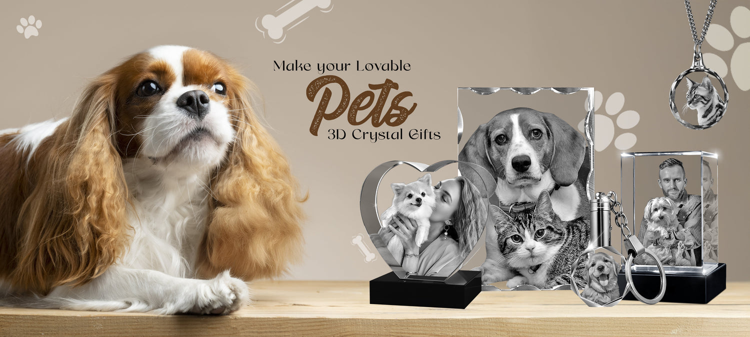3d crystal pet keepsakes